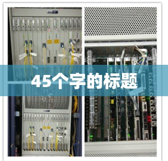 45个字的标题