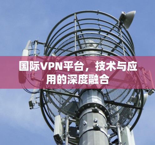 国际VPN平台，技术与应用的深度融合