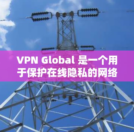 VPN Global 是一个用于保护在线隐私的网络矢量技术，允许用户访问互联网时，避开潜在的广告和虚假信息。它通过加密和防火墙技术，确保用户的网络连接是安全的