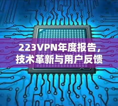 223VPN年度报告，技术革新与用户反馈的双重挑战