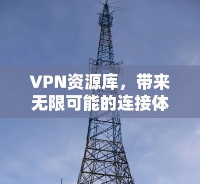 VPN资源库，带来无限可能的连接体验