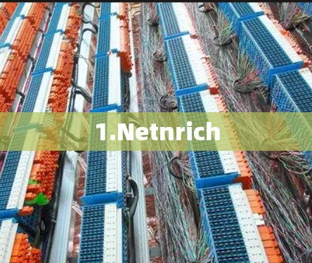 1.Netnrich