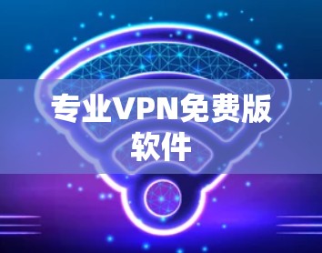 专业VPN免费版软件