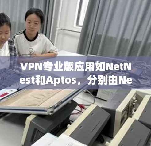 VPN专业版应用如NetNest和Aptos，分别由NetNest和Aptos公司提供。以下是关于它们的详细介绍