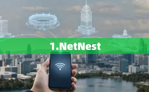 1.NetNest