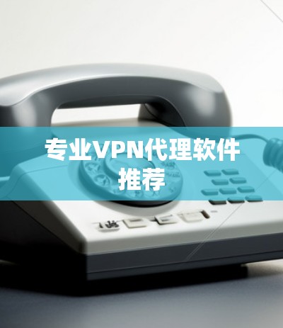 专业VPN代理软件推荐