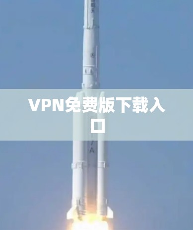 VPN免费版下载入口